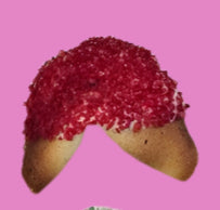 Love Moments - Dipped Fortune Cookie 1/2 dozen